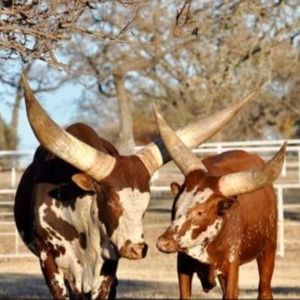 Meet your Posher, Kailey